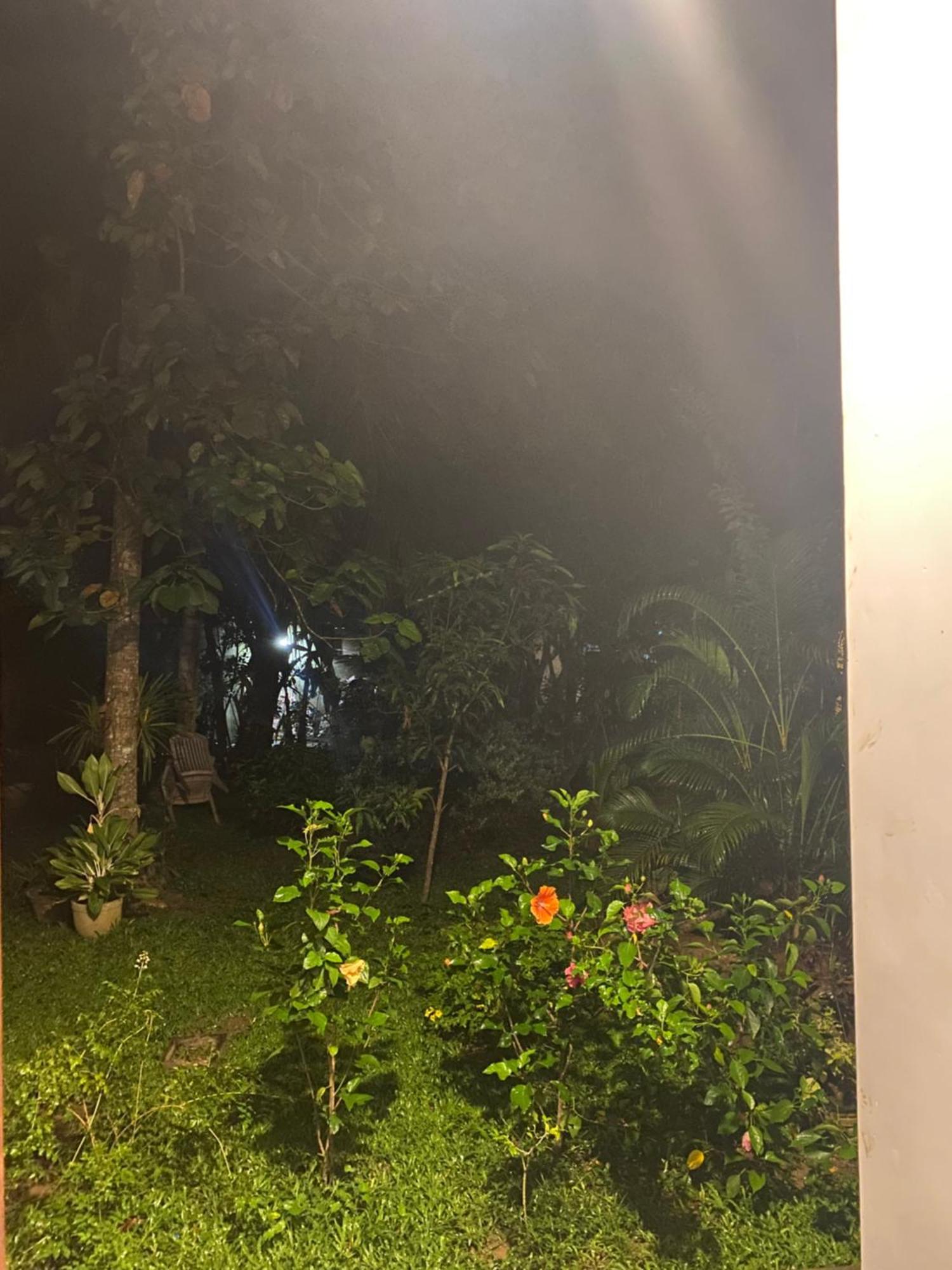 Talalla Ocean Beach Bungalow Matara Bagian luar foto